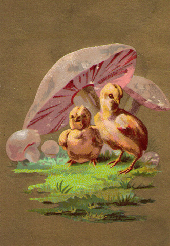 Chromo Paques 3