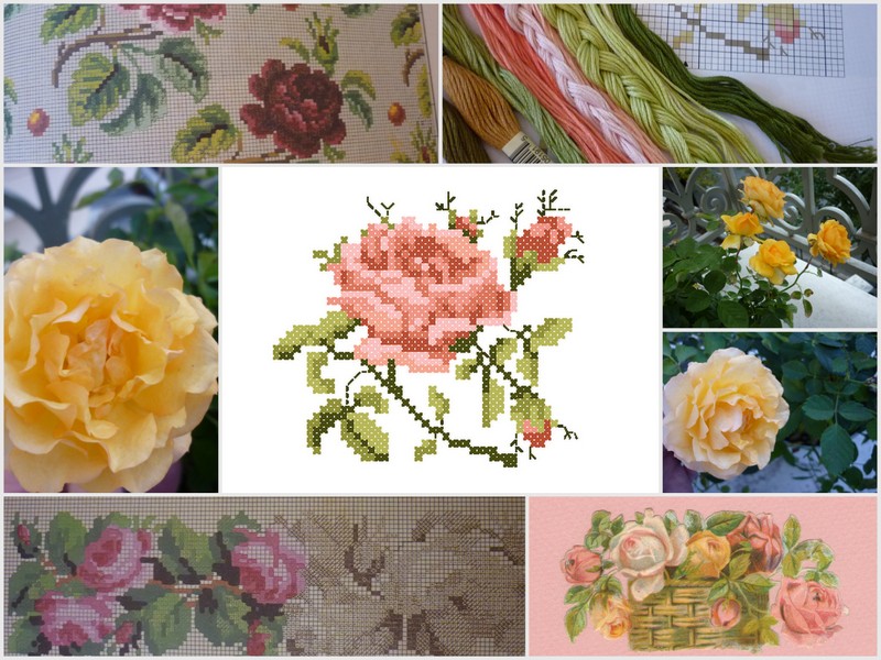 Dernieres roses