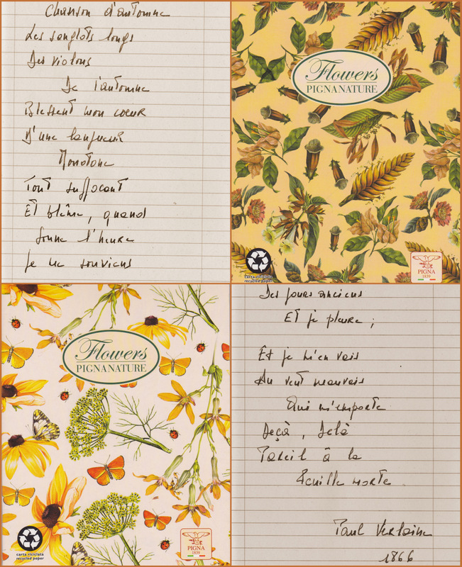 Feuilles d'automne 11