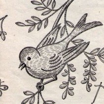 Concert d’oiseaux
