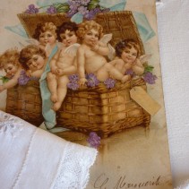 Anges et violettes