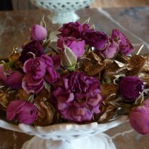 Nouvel an tout rose