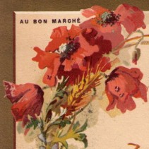 Des pavots …