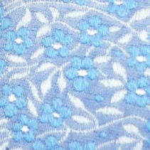 Des myosotis