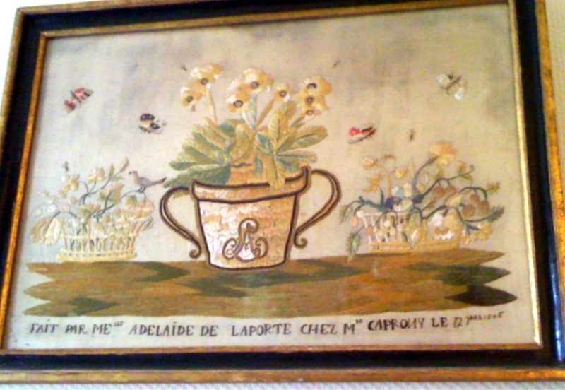 Primevères