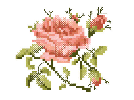 Dernières roses