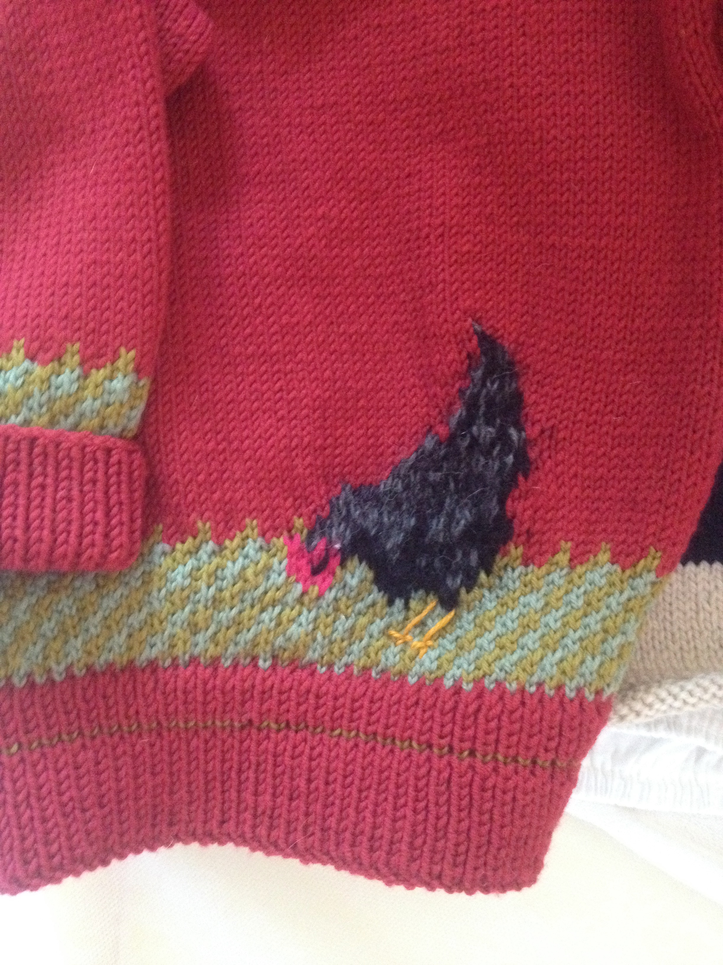 Une poule sur un mur …