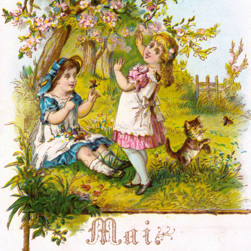 Le transfert du mois de mai