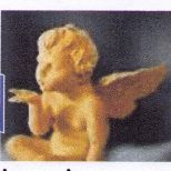 Brocante de Molineuf (41)