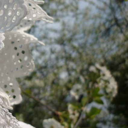 Dans le jardin de Ray …